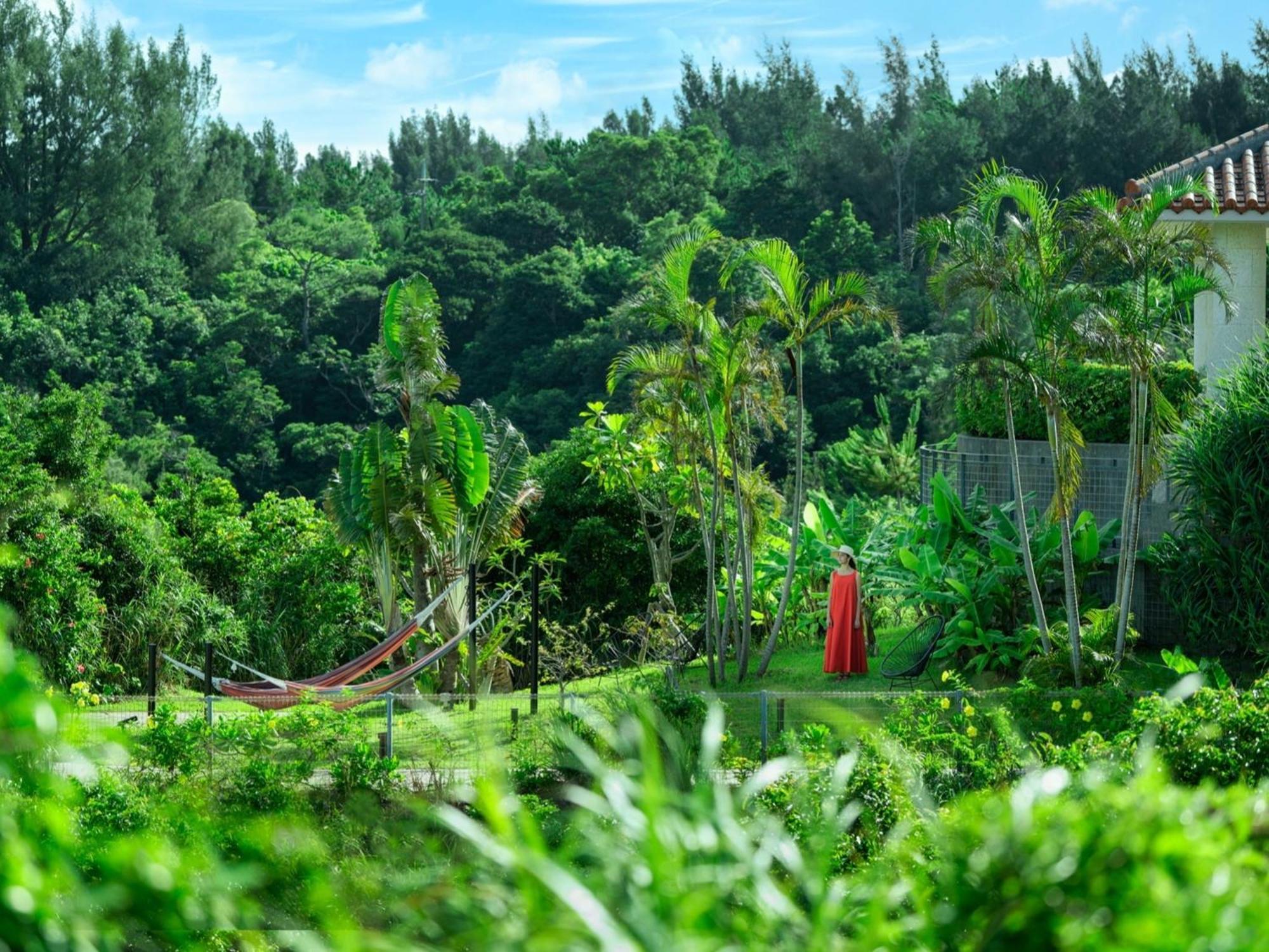 Oriental Hotel Okinawa Resort & Spa Nago Kültér fotó A view of the forest from the house